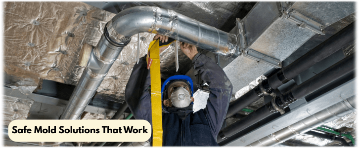 Air Duct Mold Removal in Baltimore MD