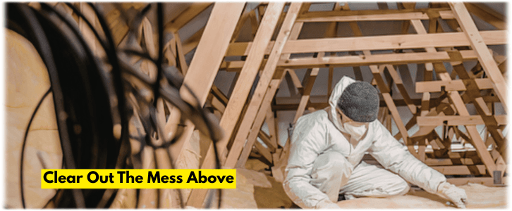 Attic Cleaning Baltimore MD
