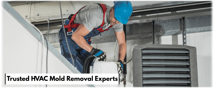 HVAC Mold Removal Baltimore MD
